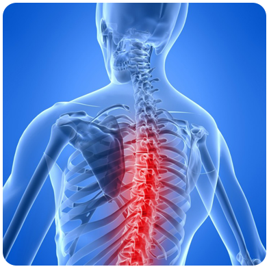 Боли в шейно-грудном отделе позвоночника